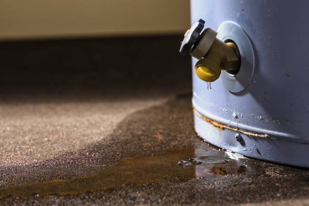 Best Ceiling water damage repair  in Bethel Manor, VA
