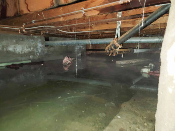 Local water damage restoration in Bethel Manor, VA
