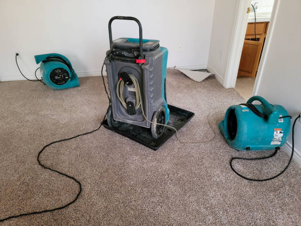 Best 24/7 water damage repair  in Bethel Manor, VA