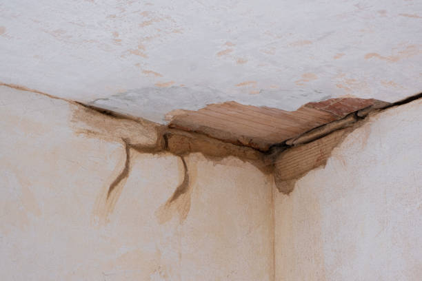 Local water damage restoration in Bethel Manor, VA