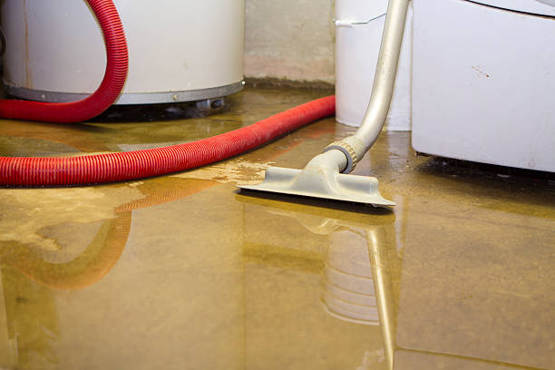 Best Flood damage cleanup  in Bethel Manor, VA