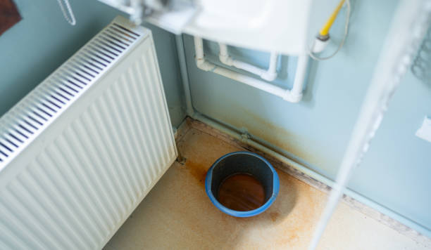 Best Emergency water extraction  in Bethel Manor, VA