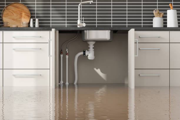 Best Professional water damage repair  in Bethel Manor, VA
