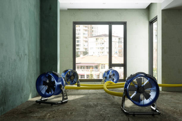 Best Water damage contractors near me  in Bethel Manor, VA